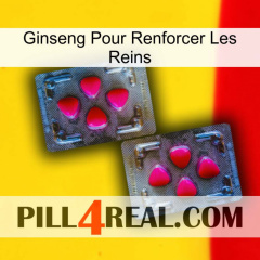 Ginseng For Reinforcing Kidney 15
